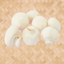 白蘑菇