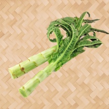 萵筍